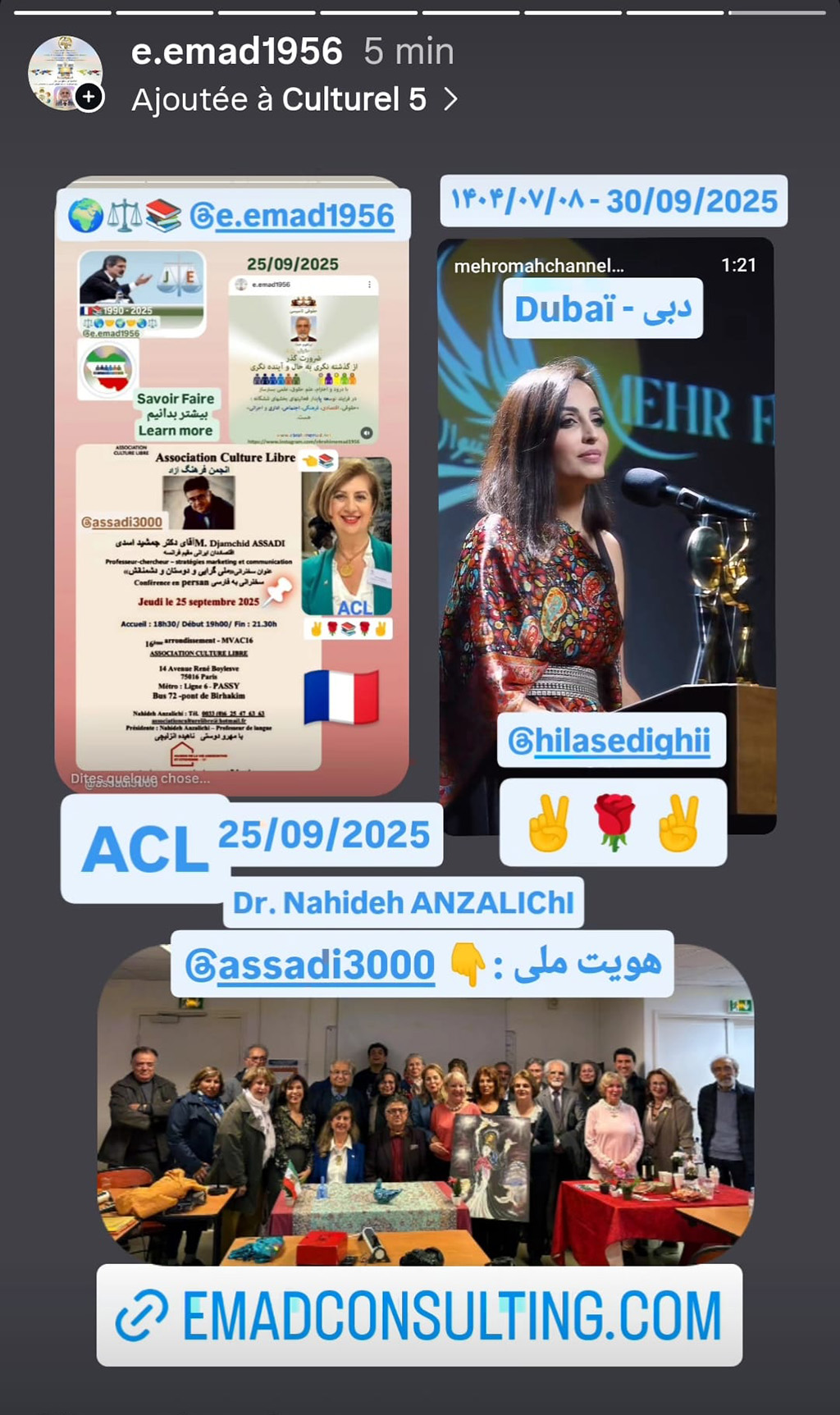 EMAD Consulting - ACL - Hila SEDIGHI