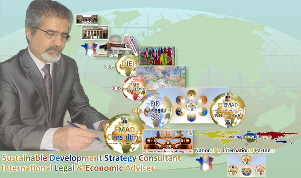 EMAD Consulting