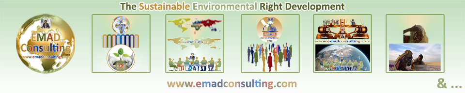 EMAD Consulting,Environment - Services and Engineering