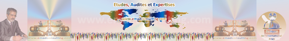 Nos Services - Audits Expertises