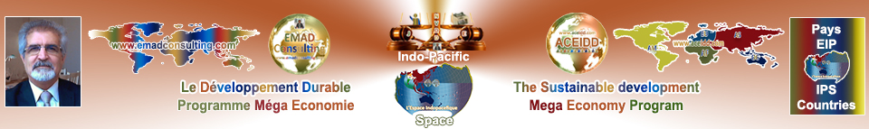 EMAD Consulting and ACEIDD, Practices of the International in Indo-Pacific Space