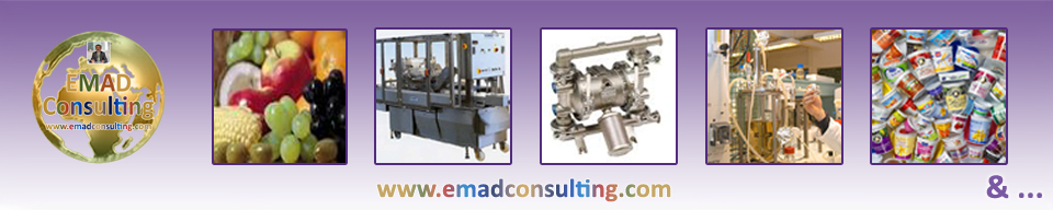 Food Industries - Services and Engineering