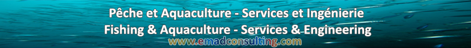 Fishing and Aquaculture - Services and Engineering
